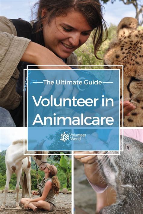 animal volunteer opportunities abroad